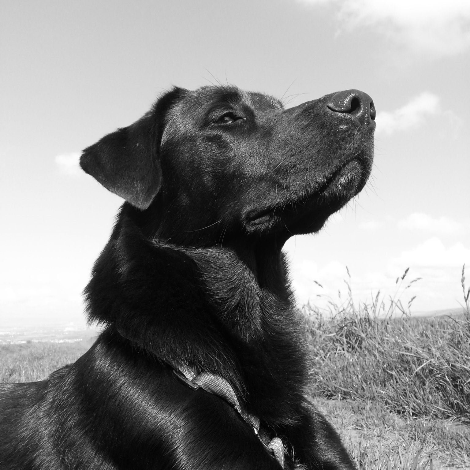 Foto von Ouafa Latique