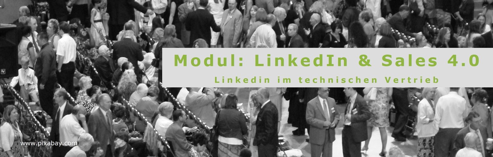 20240713-linkedin modul salesteams
